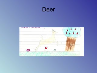 Deer
 