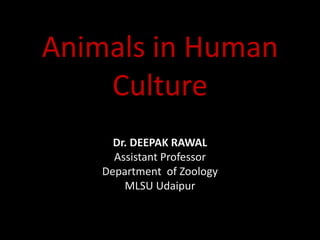 Animals in Human
Culture
Dr. DEEPAK RAWAL
Assistant Professor
Department of Zoology
MLSU Udaipur
 