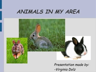 ANIMALS IN MY AREA




          Presentation made by:
          -Virginia Dolz
 