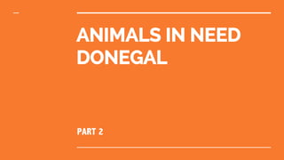 Animals In Need Donegal | Strategic Presentation