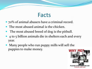 Facts
 70% of animal abusers have a criminal record.
 The most abused animal is the chicken.
 The most abused breed of dog is the pitbull.
 4 to 5 billion animals die in shelters each and every
year.
 Many people who run puppy mills will sell the
puppies to make money.
 