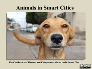 Animals in Smart Cities
The Coexistence of Humans and Companion Animals in the Smart City ...
 