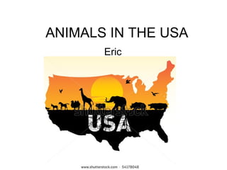 ANIMALS IN THE USA
Eric

 