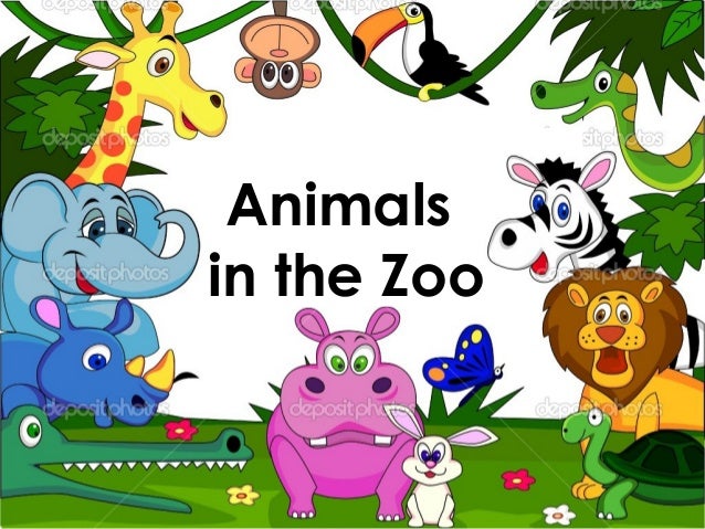 animals in the zoo