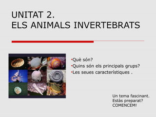 UNITAT 2.
ELS ANIMALS INVERTEBRATS
•Què són?
•Quins són els principals grups?
•Les seues característiques .
Un tema fascinant.
Estàs preparat?
COMENCEM!
 