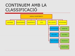CONTINUEM AMB LA
CLASSIFICACIÓ
 