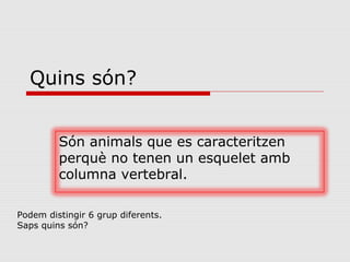 Quins són?
Són animals que es caracteritzen
perquè no tenen un esquelet amb
columna vertebral.
Podem distingir 6 grup diferents.
Saps quins són?
 