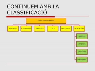 CONTINUEM AMB LA
CLASSIFICACIÓ
 