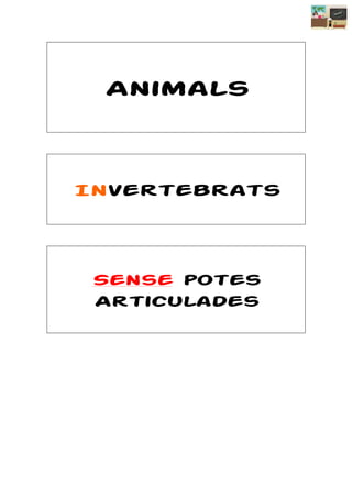 Animals



Invertebrats




 Sense potes
 Articulades
 