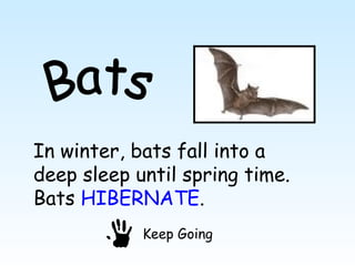 In winter, bats fall into a
deep sleep until spring time.
Bats HIBERNATE.
            Keep Going
 