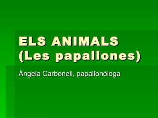 ELS ANIMALS (Les papallones) Àngela Carbonell, papallonòloga 