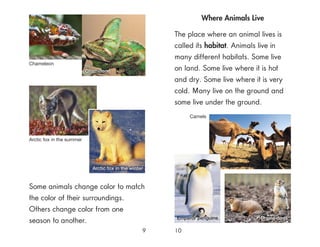 9 10
Some animals change color to match
the color of their surroundings.
Others change color from one
season to another.
Where Animals Live
The place where an animal lives is
called its habitat. Animals live in
many different habitats. Some live
on land. Some live where it is hot
and dry. Some live where it is very
cold. Many live on the ground and
some live under the ground.
Chameleon
Arctic fox in the winter
Arctic fox in the summer
Emperor penguins Prairie dogs
Camels
Chameleon
 