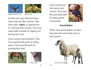 Some animals eat
both plants and
animals. They have
ﬂat and sharp teeth
for eating plants
and animals.
Ewe with lamb
Animals eat many different things.
Some only eat other animals. They
have claws, talons, or special arms
for catching other animals. They have
sharp teeth or beaks for ripping and
tearing their food.
Some animals only eat plants. They
have special body parts for eating
plants. They have ﬂat teeth for
grinding their food.
13 14
Human being
Eagle talons
Animal Babies
When most animal babies are born,
they have the same body parts as
their parents.
Horse teeth
Eagle catching a fish
Horse grazing
 