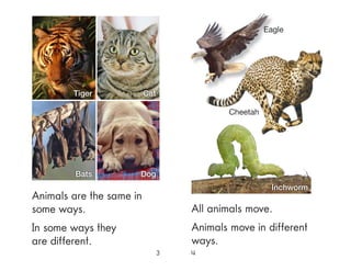 All animals move.
Animals move in different
ways.
Animals are the same in
some ways.
In some ways they
are different.
3 4
Inchworm
Cheetah
DogBats
Tiger Cat
Eagle
 