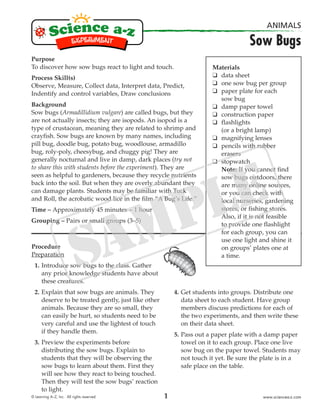 © Learning A–Z, Inc. All rights reserved. www.sciencea-z.com
ANIMALS
Sow Bugs
Purpose
To discover how sow bugs react to light and touch.
Process Skill(s)
Observe, Measure, Collect data, Interpret data, Predict,
Indentify and control variables, Draw conclusions
Background
Sow bugs (Armadillidium vulgare) are called bugs, but they
are not actually insects; they are isopods. An isopod is a
type of crustacean, meaning they are related to shrimp and
crayfish. Sow bugs are known by many names, including
pill bug, doodle bug, potato bug, woodlouse, armadillo
bug, roly-poly, cheesybug, and chuggy pig! They are
generally nocturnal and live in damp, dark places (try not
to share this with students before the experiment). They are
seen as helpful to gardeners, because they recycle nutrients
back into the soil. But when they are overly abundant they
can damage plants. Students may be familiar with Tuck
and Roll, the acrobatic wood lice in the film “A Bug’s Life.”
Time – Approximately 45 minutes − 1 hour
Grouping – Pairs or small groups (3–5)
Procedure
Preparation
1. Introduce sow bugs to the class. Gather
any prior knowledge students have about
these creatures.
2. Explain that sow bugs are animals. They
deserve to be treated gently, just like other
animals. Because they are so small, they
can easily be hurt, so students need to be
very careful and use the lightest of touch
if they handle them.
3. Preview the experiments before
distributing the sow bugs. Explain to
students that they will be observing the
sow bugs to learn about them. First they
will see how they react to being touched.
Then they will test the sow bugs’ reaction
to light.
4. Get students into groups. Distribute one
data sheet to each student. Have group
members discuss predictions for each of
the two experiments, and then write these
on their data sheet.
5. Pass out a paper plate with a damp paper
towel on it to each group. Place one live
sow bug on the paper towel. Students may
not touch it yet. Be sure the plate is in a
safe place on the table.
Materials
❑ data sheet
❑ one sow bug per group
❑ paper plate for each
sow bug
❑ damp paper towel
❑ construction paper
❑ flashlights
(or a bright lamp)
❑ magnifying lenses
❑ pencils with rubber
erasers
❑ stopwatch
Note: If you cannot find
sow bugs outdoors, there
are many online sources,
or you can check with
local nurseries, gardening
stores, or fishing stores.
Also, if it is not feasible
to provide one flashlight
for each group, you can
use one light and shine it
on groups’ plates one at
a time.
1
 