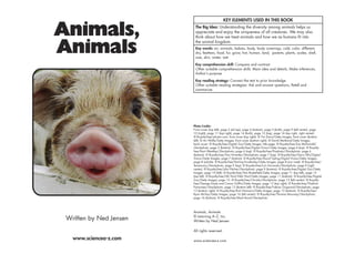 www.sciencea-z.com
Animals, Animals
© Learning A–Z, Inc.
Written by Ned Jensen
All rights reserved.
www.sciencea-z.com
Animals,
Animals
KEY ELEMENTS USED IN THIS BOOK
The Big Idea: Understanding the diversity among animals helps us
appreciate and enjoy the uniqueness of all creatures. We may also
think about how we treat animals and how we as humans fit into
the animal kingdom.
Key words: air, animals, babies, body, body coverings, cold, color, different,
dry, feathers, food, fur, grow, hot, human, land, parents, plants, scales, shell,
size, skin, water, wet
Key comprehension skill: Compare and contrast
Other suitable comprehension skills: Main idea and details, Make inferences,
Author’s purpose
Key reading strategy: Connect the text to prior knowledge
Other suitable reading strategies: Ask and answer questions, Retell and
summarize
Written by Ned Jensen
Photo Credits:
Front cover (top left), page 3 (all top), page 4 (bottom), page 5 (both), page 9 (left center), page
10 (right), page 11 (top right), page 14 (both), page 15 (top), page 16 (top right, right center):
© Royalty-free/photos.com; front cover (top right): © Tim Davis/Getty Images; front cover (bottom
left): © Art Wolfe/Getty Images; front cover (bottom right): © David Maitland/Getty Images;
back cover: © Royalty-free/Digital Zoo/Getty Images; title page: © Royalty-free/Sue McDonald/
iStockphoto; page 3 (bottom): © Royalty-free/Digital Vision/Getty Images; page 4 (top): © Royalty-
free/Kent Weakley/iStockphoto; page 6 (top): © Royalty-free/Pmphoto/iStockphoto; page 6
(bottom): © Royalty-free/Tom Hirtreiter/iStockphoto; page 7 (top): © Royalty-free/Gerry Ellis/Digital
Vision/Getty Images; page 7 (bottom): © Royalty-free/David Tipling/Digital Vision/Getty Images;
page 8 (whale): © Royalty-free/Dorling Kindersley/Getty Images; page 8 (car inset): © Royalty-free/
Texasmary/iStockphoto; page 9 (top): © Royalty-free/Luís Fernando/iStockphoto; page 9 (right
center): © Royalty-free/John Pitcher/iStockphoto; page 9 (bottom): © Royalty-free/Digital Zoo/Getty
Images; page 10 (left): © Royalty-free/Tom Brakefield/Getty Images; page 11 (top left), page 13
(top left): © Royalty-free/GK Hart/Vikki Hart/Getty Images; page 11 (bottom): © Royalty-free/Digital
Zoo/Getty Images; page 12: © Royalty-free/Chrisds/iStockphoto; page 13 (left center): © Royalty-
free/George Doyle and Ciaran Griffin/Getty Images; page 13 (top right): © Royalty-free/Vladimir
Pomortsev/iStockphoto; page 13 (bottom left): © Royalty-free/Fabian Guignard/iStockphoto; page
13 (bottom right): © Royalty-free/Karl Ammann/Getty Images; page 15 (bottom): © Royalty-free/
Ryan McVay/Getty Images; page 16 (left center): © Royalty-free/Thomas Mounsey/iStockphoto;
page 16 (bottom): © Royalty-free/Mark Bond/iStockphoto
 