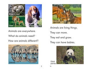 Animals are everywhere.
What do animals need?
How are animals different?
3 4
Eggs in nest
Deer Basset hound
Zebras
Giant
panda
Horse
and foal
Animals are living things.
They can move.
They eat and grow.
They can have babies.
 