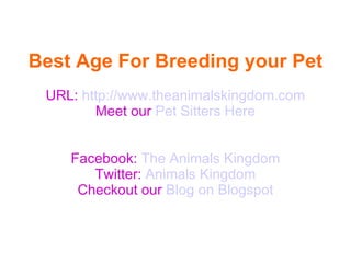Best Age For Breeding your Pet
 URL: http://www.theanimalskingdom.com
        Meet our Pet Sitters Here


    Facebook: The Animals Kingdom
       Twitter: Animals Kingdom
     Checkout our Blog on Blogspot
 