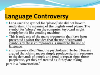 Language Controversy
 Lana used the symbol for “please,” she did not have to
understand the meaning of the English word please. The
symbol for “please” on the computer keyboard might
simply be the like vending machine.
 This is only one of the many arguments that have been
presented against the idea that the use of signs and
symbols by these chimpanzees is similar to the use of
language.
 chimpanzee called Nim, the psychologist Herbert Terrace
argued that chimpanzees simply produce signs in response
to the demands of people and tend to repeat signs those
people use, yet they are treated as if they are taking
part in a “conversation.”
 