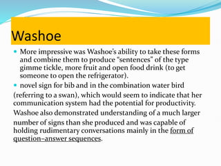 Washoe
 More impressive was Washoe’s ability to take these forms
and combine them to produce “sentences” of the type
gimme tickle, more fruit and open food drink (to get
someone to open the refrigerator).
 novel sign for bib and in the combination water bird
(referring to a swan), which would seem to indicate that her
communication system had the potential for productivity.
Washoe also demonstrated understanding of a much larger
number of signs than she produced and was capable of
holding rudimentary conversations mainly in the form of
question–answer sequences.
 
