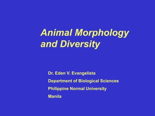 Animal Morphology
and Diversity
Dr. Eden V. Evangelista
Department of Biological Sciences
Philippine Normal University
Manila
 