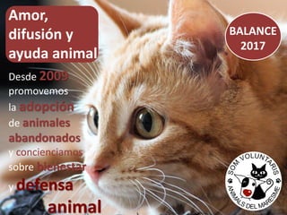 BALANCE
2017
Amor,
difusión y
ayuda animal
Desde 2009
promovemos
la adopción
de animales
abandonados
y concienciamos
sobre bienestar
y defensa
animal
 