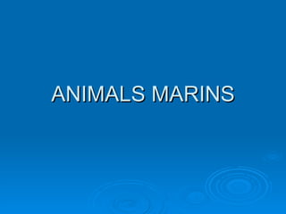 ANIMALS MARINS 