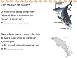 Com respiren els peixos?
La majoria dels peixos s’empassen
l’aigua per la boca, es queden amb
l’oxigen i la treuen per
les ..........................................
Altres animals marins com els dofins han
de pujar a la superfície de la mar per
agafar oxigen
Ho fan per un forat que tenen al cap que
es diu ...........................
 