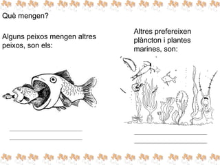 Què mengen?
Alguns peixos mengen altres
peixos, son els:
Altres prefereixen
plàncton i plantes
marines, son:
 