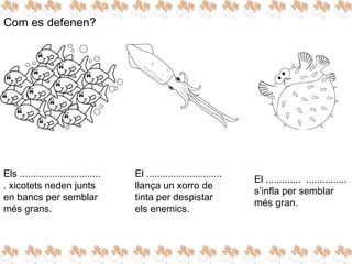 Com es defenen?
El ............. ...............
s’infla per semblar
més gran.
El ............................
llança un xorro de
tinta per despistar
els enemics.
Els ..............................
. xicotets neden junts
en bancs per semblar
més grans.
 