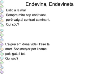 Endevina, Endevineta
Estic a la mar
Sempre mire cap endavant,
però vaig al contrari caminant.
Qui sóc?
L’aigua em dona vida i l’aire la
mort. Sóc menjar per l’home i
pels gats i tot.
Qui sóc?
 