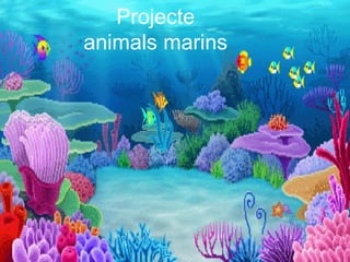 Projecte
animals marins
 