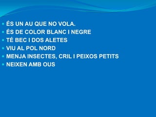  ÉS UN AU QUE NO VOLA.
 ÉS DE COLOR BLANC I NEGRE
 TÉ BEC I DOS ALETES
 VIU AL POL NORD
 MENJA INSECTES, CRIL I PEIXOS PETITS
 NEIXEN AMB OUS

 