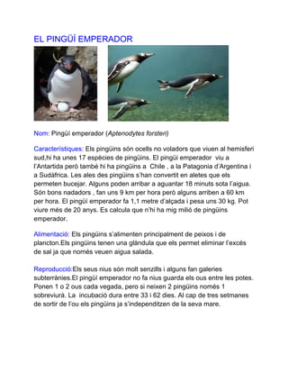 El Mar PDF el-mar-pdf