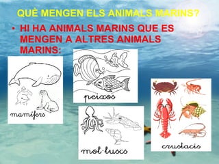 QUÈ MENGEN ELS ANIMALS MARINS? HI HA ANIMALS MARINS QUE ES MENGEN A ALTRES ANIMALS MARINS: 