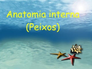 Anatomia interna (Peixos) 