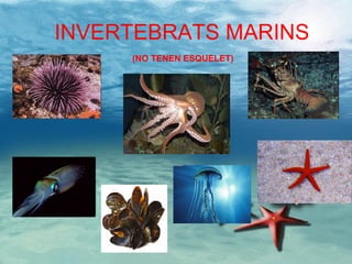 INVERTEBRATS MARINS (NO TENEN ESQUELET) 