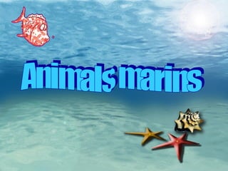 Animals marins                                                                                             