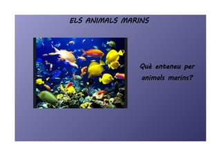 ELS ANIMALS MARINS
Què enteneu per
animals marins?
 