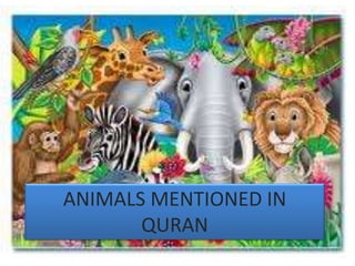 ANIMALS MENTIONED IN
QURAN
 
