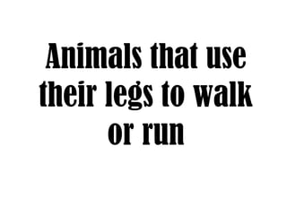 Animals that use
their legs to walk
      or run
 