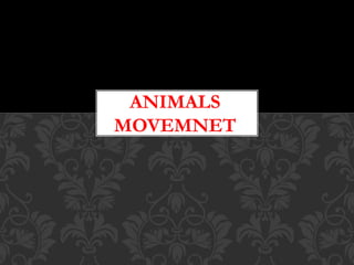 ANIMALS
MOVEMNET
 