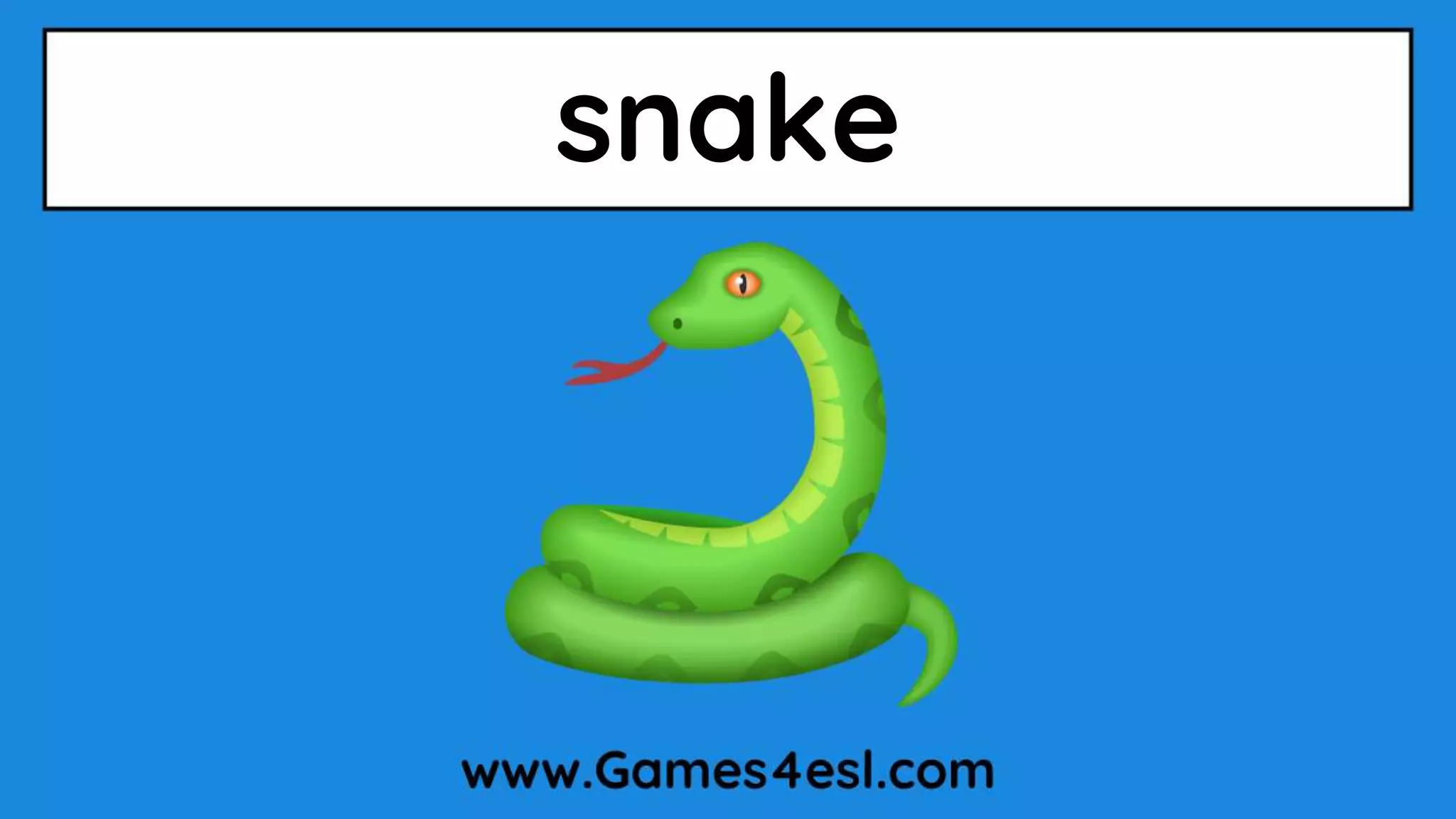 snake