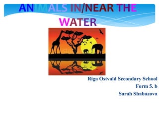 ANIMALS IN/NEAR THE
WATER

Riga Ostvald Secondary School
Form 5. b
Sarah Shabazova

 