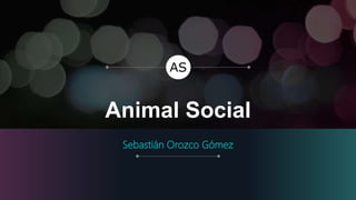 Animal Social
Sebastián Orozco Gómez
 