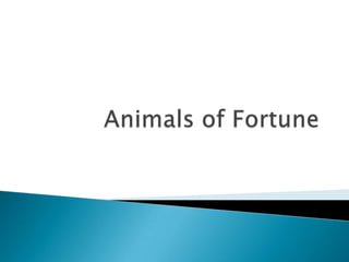 Animals of Fortune 