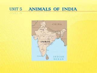 UNIT 5   ANIMALS OF INDIA
 