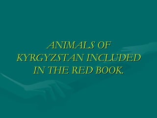 ANIMALS OF
KYRGYZSTAN INCLUDED
   IN THE RED BOOK.
 