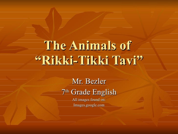The Animals Of Rikki Tikki Tavi