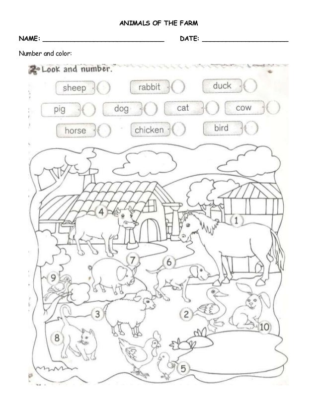 Animals of the farm activity ii term exam